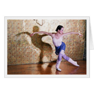 Flight of the Swan 4 - with border