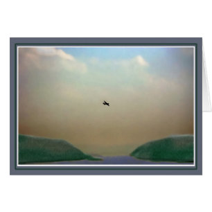 Flight Over the Hudson