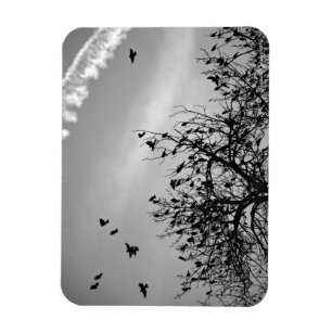 Flight Path Magnet