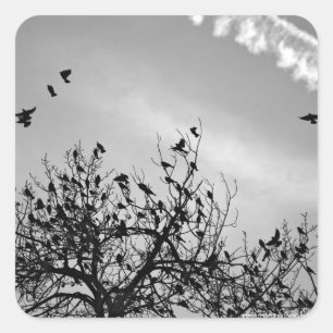 Flight Path Square Sticker