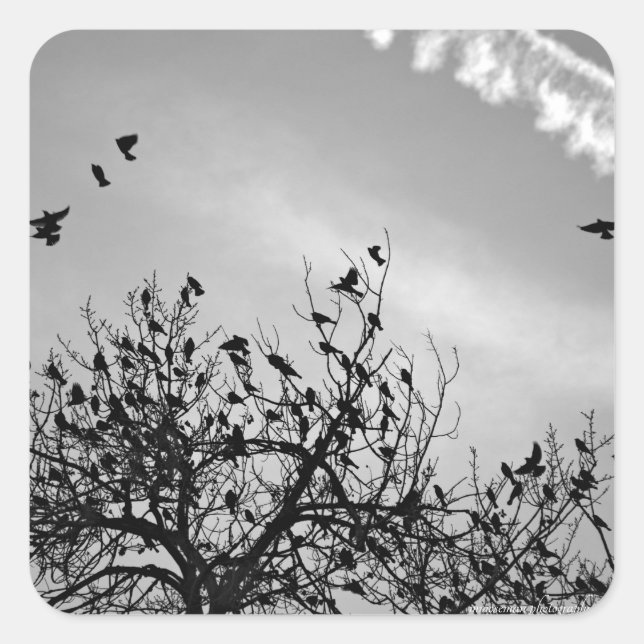 Flight Path Square Sticker (Front)