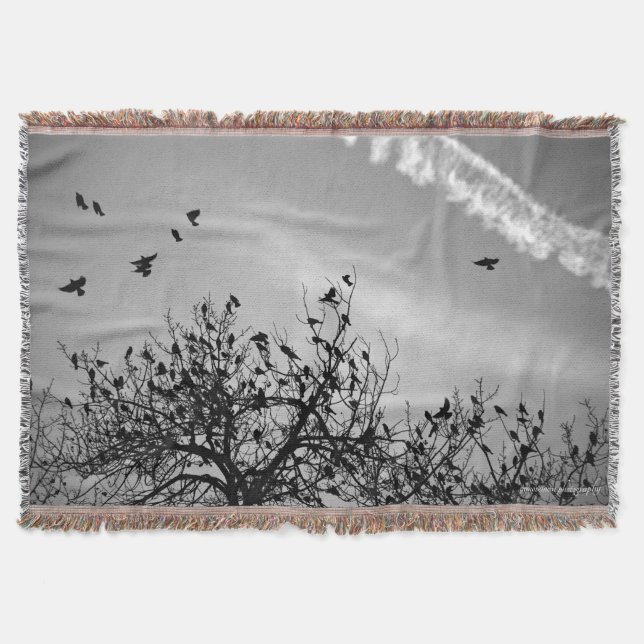 Flight Path Throw Blanket (Front)