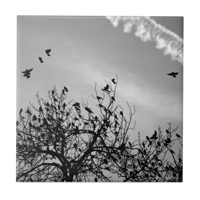 Flight Path Tile (Front)