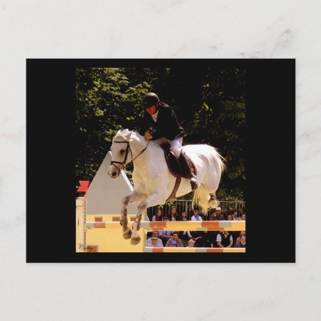 Flight Postcard (Front)