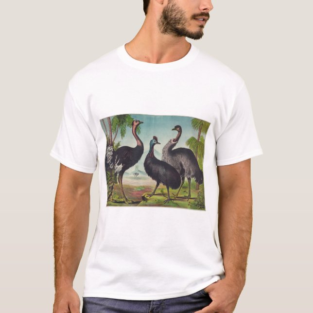 Flightless Birds emu cassowary ostrich australia T-Shirt (Front)