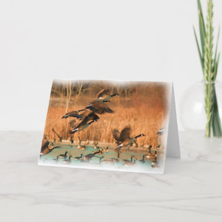 FLIGHTS OF FANCY CARD