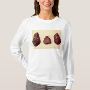 Flint axe heads T-Shirt