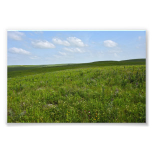 Flint Hills Wildflowers, Kansas Photo Print