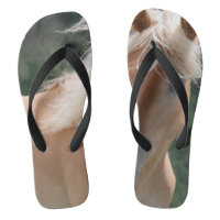 flip flops _ horse