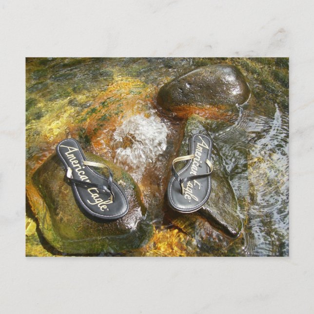 Flip Flops in Spring Postcard (Front)