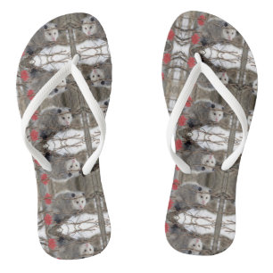 Flip Flops Opossum Nature