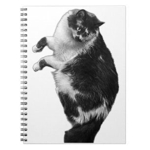 Flip‑Side Feline Journal