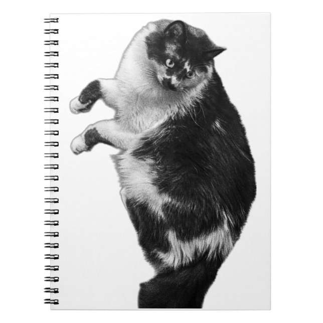 Flip‑Side Feline Journal (Front)