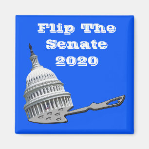 Flip The Senate Vote Blue 2020 Magnet