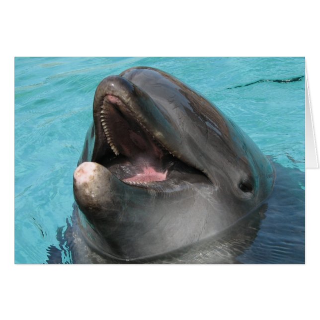 Flipper Card (Front Horizontal)