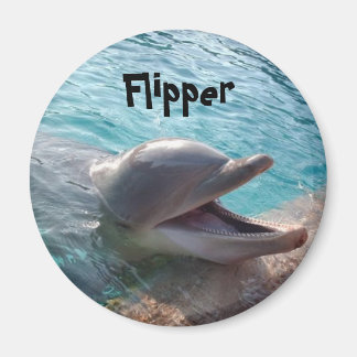Flipper Magnet