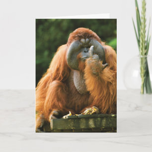 Flipping Monkey-Orangutan - Birthday Card