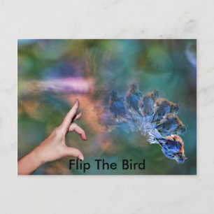 FlipTheBird, Postcard