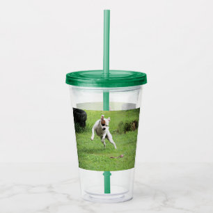 Float Acrylic Tumbler
