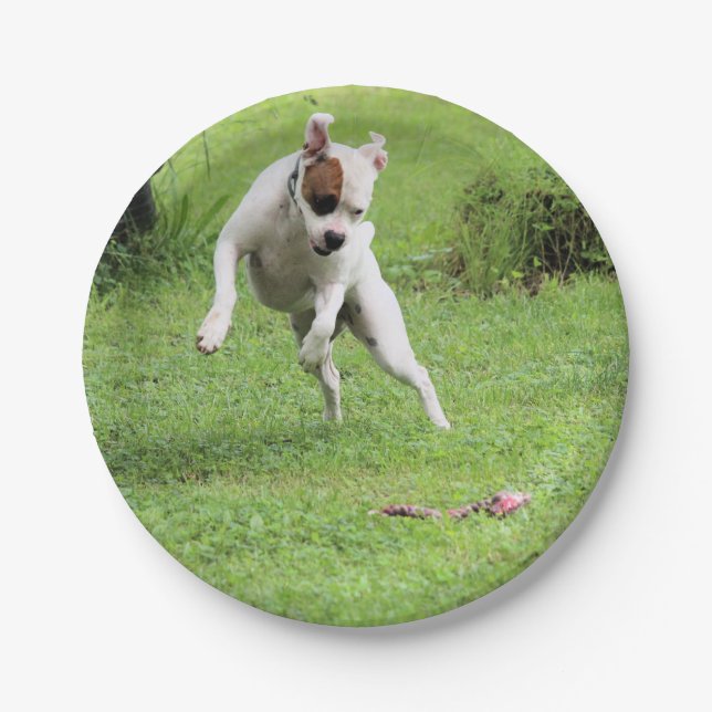 Float Paper Plate (Front)