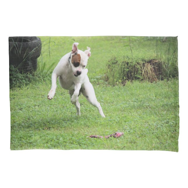 Float   pillowcase (Front)