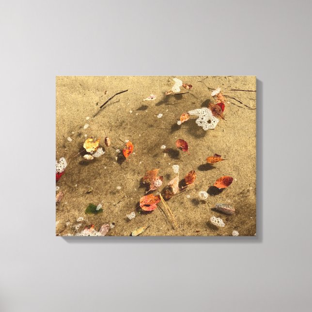 Floating Autumn Leaves Canvas Print (Front)