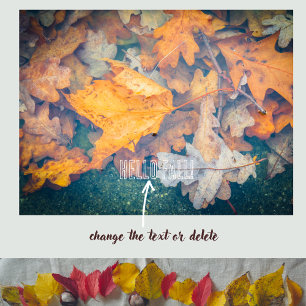 Floating autumn leaves poster