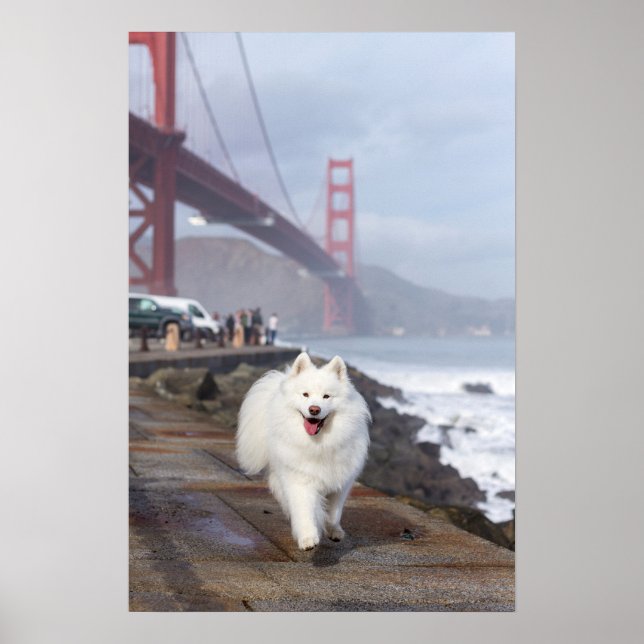 Floating by Golden Gate Bridge Poster (Front)