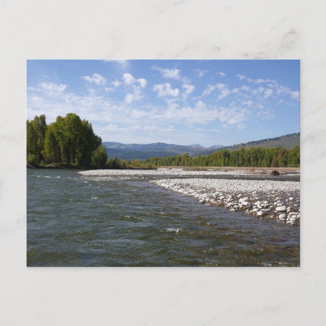 Floating Down the Snake River I Postcard (Front)