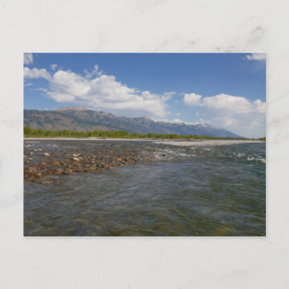 Floating Down the Snake River II Postcard
