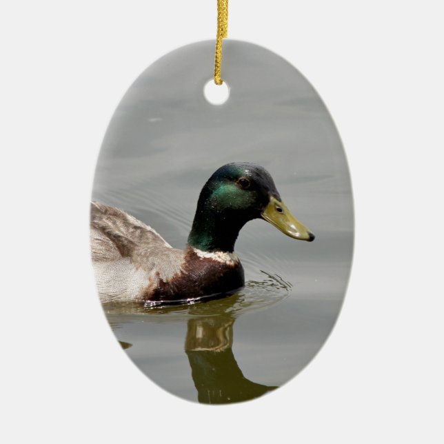 Floating Duck Ceramic Tree Decoration (Front)