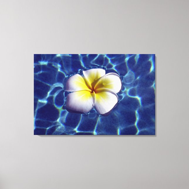 FLOATING FRANGI 24x36 Canvas Print (Front)