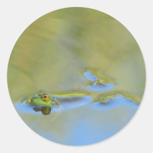 Floating Frog Classic Round Sticker