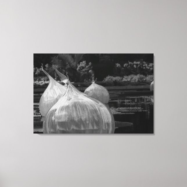 Floating glass bulbs canvas print (Front)