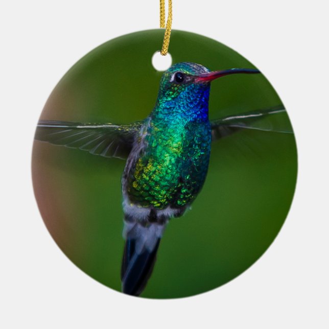 Floating Hummingbird Ceramic Tree Decoration (Front)