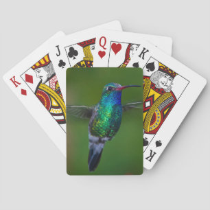 Floating Hummingbird Playing Cards