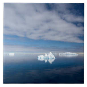 Floating ice in Antarctica Tile