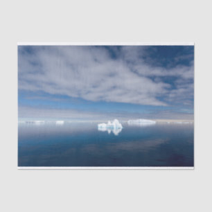 Floating ice in Antarctica Tissue Paper