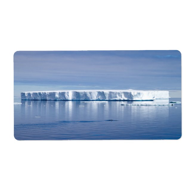 Floating iceberg (Front)