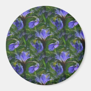 Floating Irises....... Magnet