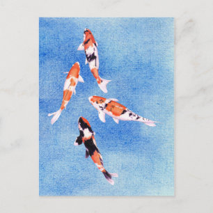 Floating Koi blue Postcard