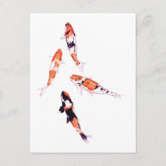 Floating Koi Postcard
