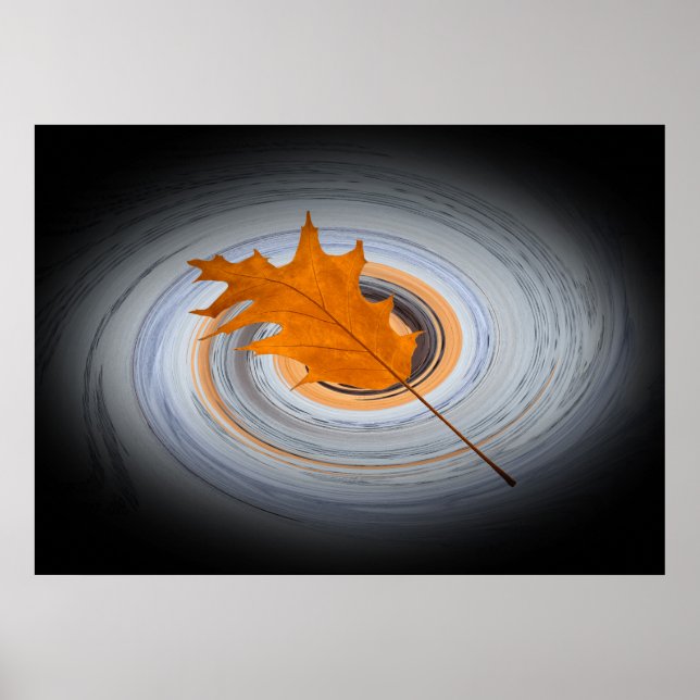 Floating leaf poster (Front)