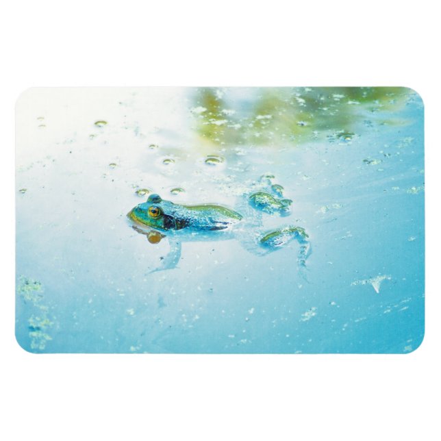 Floating Magnet (Horizontal)