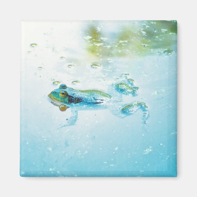 Floating Magnet (Front)