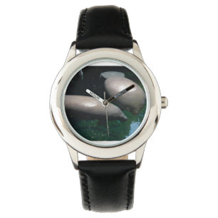 Floating Manatees Watch