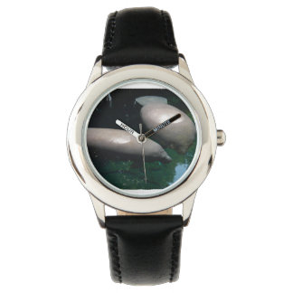 Floating Manatees Watch