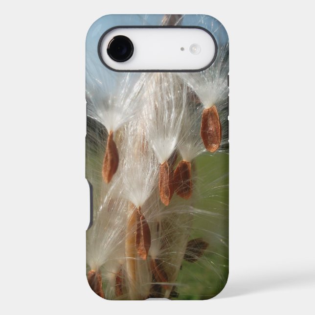 Floating Milkweed Seeds Art Print/Graphic (Back)