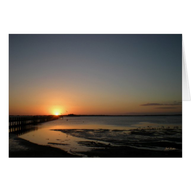 "Floating on Air" Dunedin, Florida (Front Horizontal)