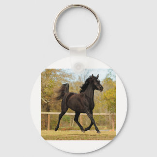 Floating on air key ring